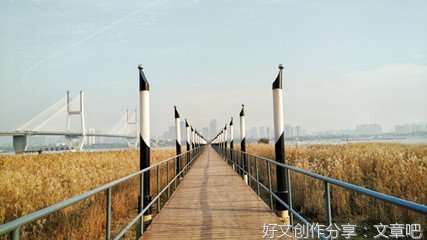 作文大全小木舟400字