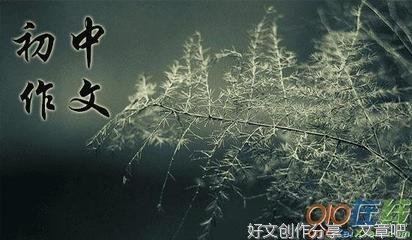 关于真诚或信任的作文400字800字