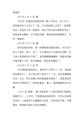 关于春天的观察日记三百字作文