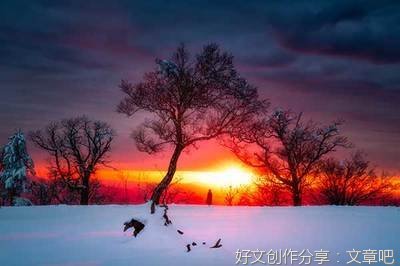 《狂蝶》读后感1000字