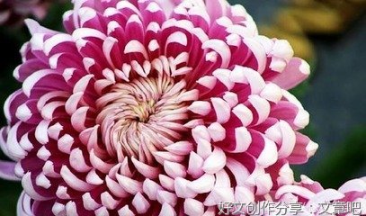 绣时光经典的句子