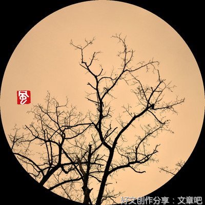 《阑珊集》的句子
