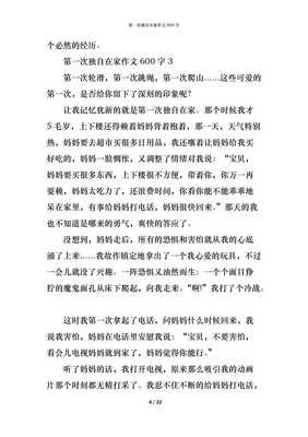 独自在家作文大全
