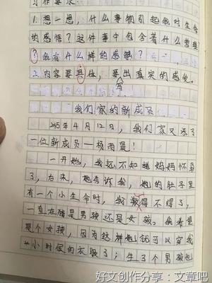 生命的感悟通用作文