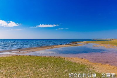 看守所医生读后感1000字