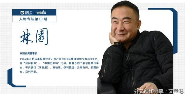复合增长-林园的投资逻辑与策略读后感精选