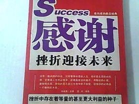 感谢挫折经典作文