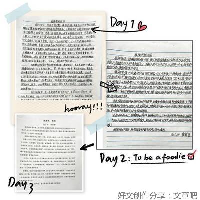 我爱我的学校作文800字