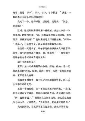 端午节的趣事作文456字