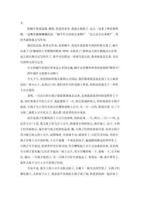 四年级观察小动物日记100字