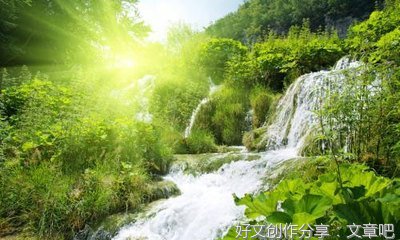 我们民族的端午节作文