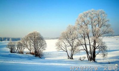 又是一年端午节作文