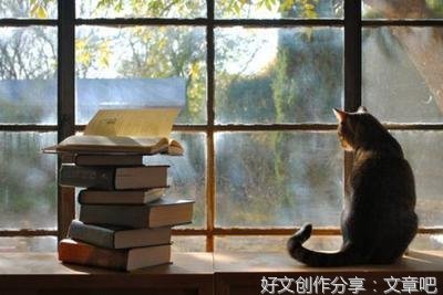 我们如何看见，又如何思考读后感摘抄