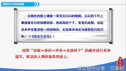 长寿花经典作文