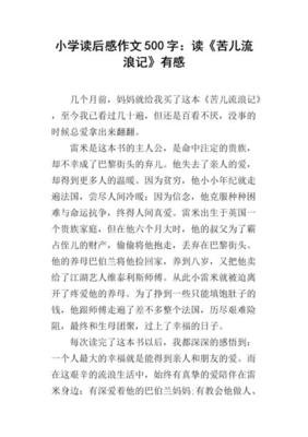 《苦儿流浪记》读后感