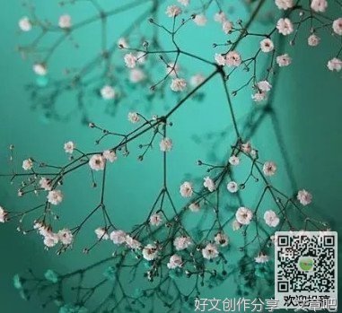 描写城市里夜幕降临的作文