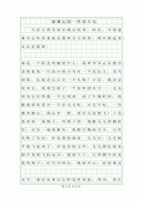 关于难忘的一件事的作文题记