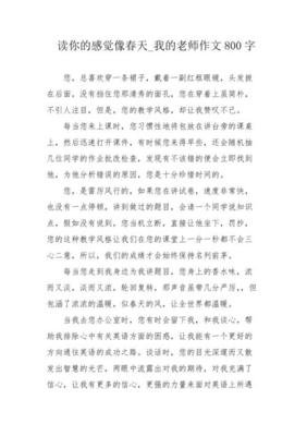 怎样写我的老师的作文600字800字