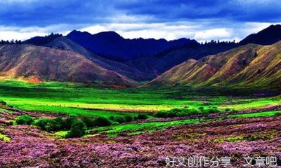 端午节的早晨作文600字