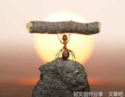 关于蚂蚁的托物言志的作文300字500字