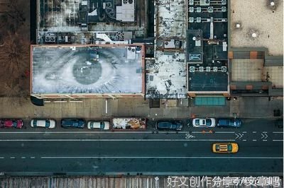 《空中看纽约》读后感精选