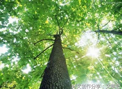 《经典美句》的句子