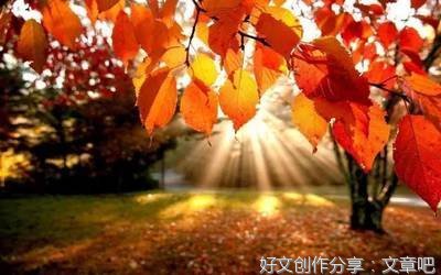 伤好词好句