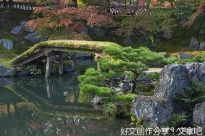曾老的句子