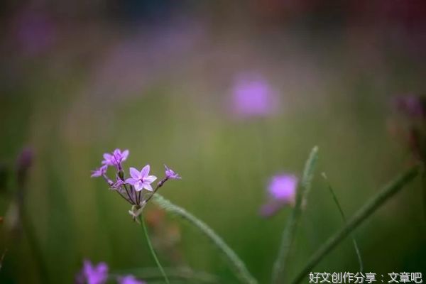 人生的下半场：学会顺其自然