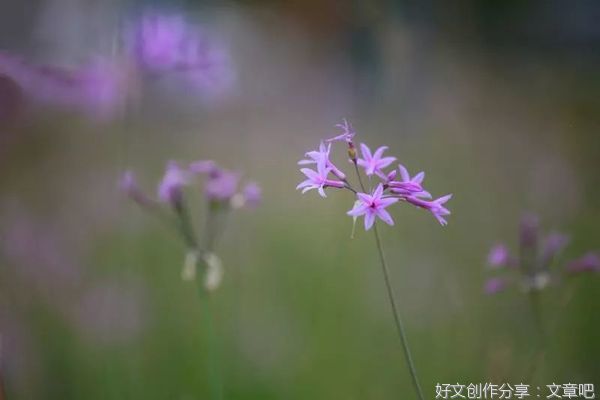 人生的下半场：学会顺其自然