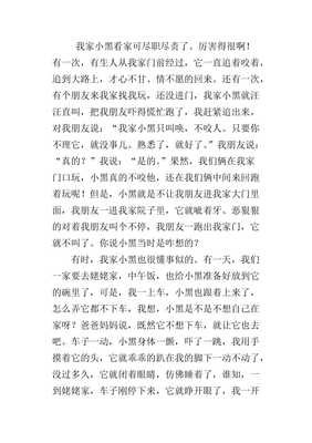 《小黑》的作文