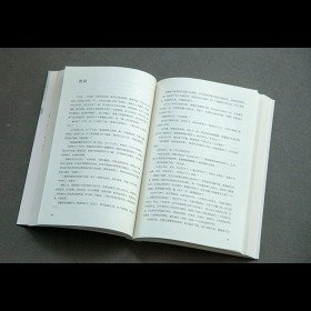 我爱国画作文300字
