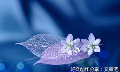 爸爸童年的故事作文大全