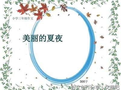 《美丽的夏夜》的作文