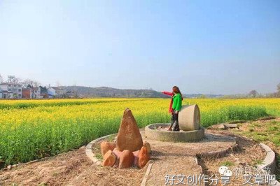 有关美丽的油菜花的作文