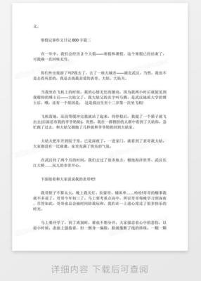 寒假记事450字~500字