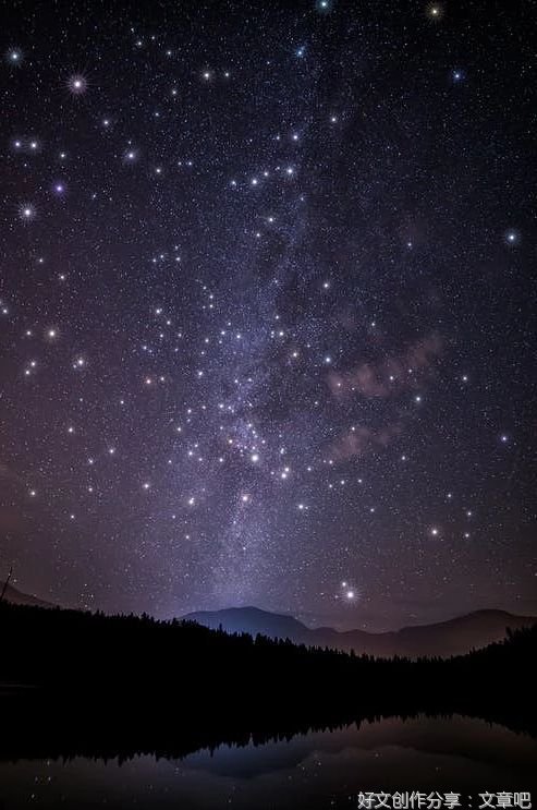 《威廉的星空》读后感精选