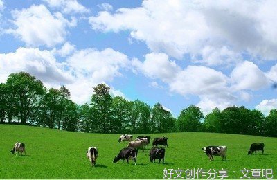 《向伯利恒跋涉》读后感锦集