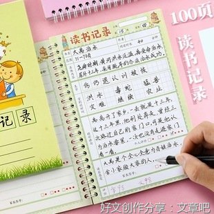 《双镜》读后感摘抄