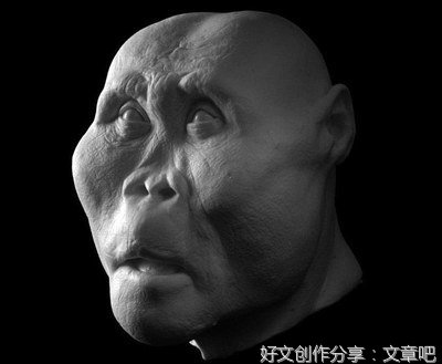《起源：地球如何塑造了我们》读后感摘抄