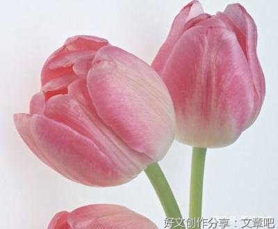 有关因为有你的句子