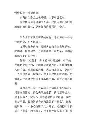 有关多肉的作文