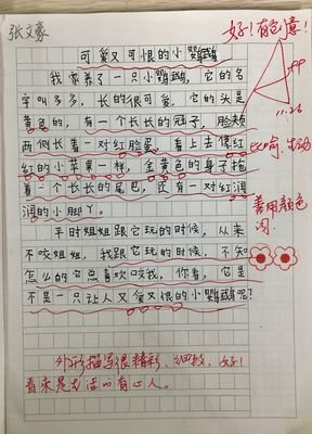 我眼中的缤纷世界作文(通用10篇)