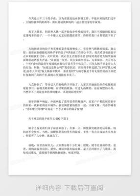 最好的作品作文500字