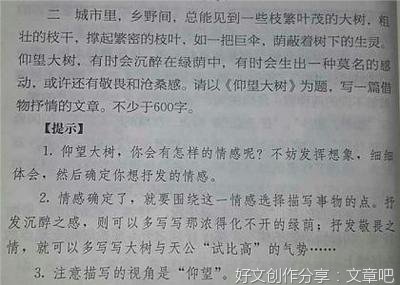 关于蜡烛借物抒情作文500字