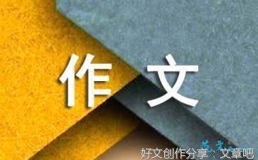 关于收集收藏的作文500字