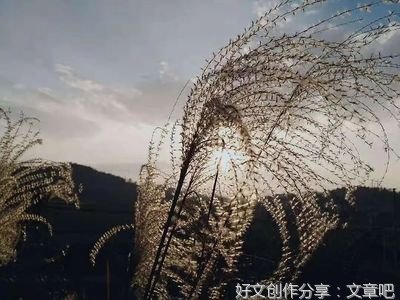 关于祖国风光的作文200字500字