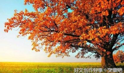 初中生作文以感悟幸福为话题800字