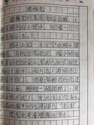 梅花的描写小作文150字
