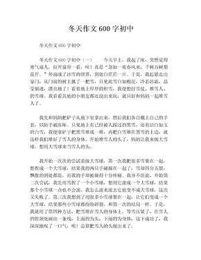 这个冬天不太冷作文600字